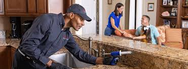 Real Estate Pest Inspections in Farmington Hills, MI